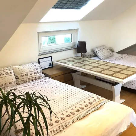 Pod-inn 坡顶公寓-文化谷仓 Kuppenheim